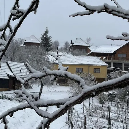 Seoski Turizam Domacinstvo Tosanic 아파트 *