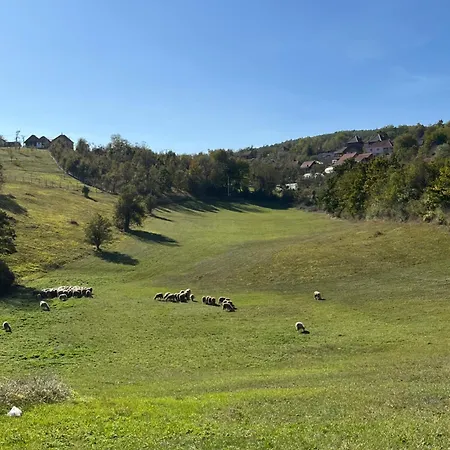 Seoski Turizam Domacinstvo Tosanic *