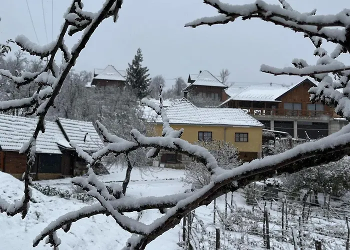 Seoski Turizam Domacinstvo Tosanic شقة *