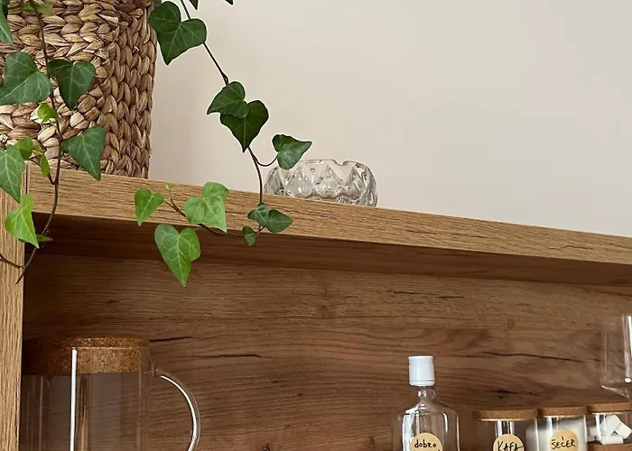 Seoski Turizam Domacinstvo Tosanic * Tripkova