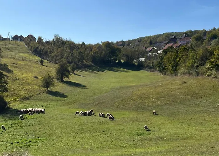 Seoski Turizam Domacinstvo Tosanic *